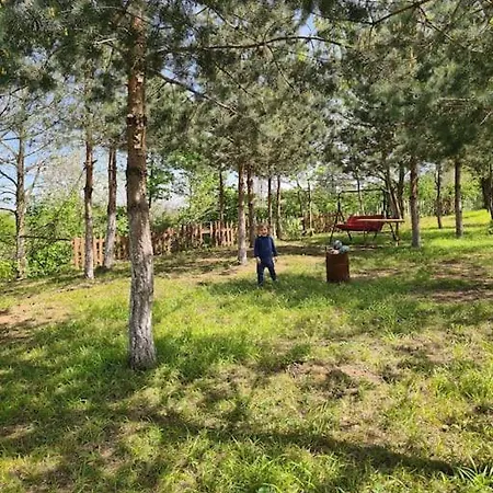 빌라 White Tinyhouse 사판자
